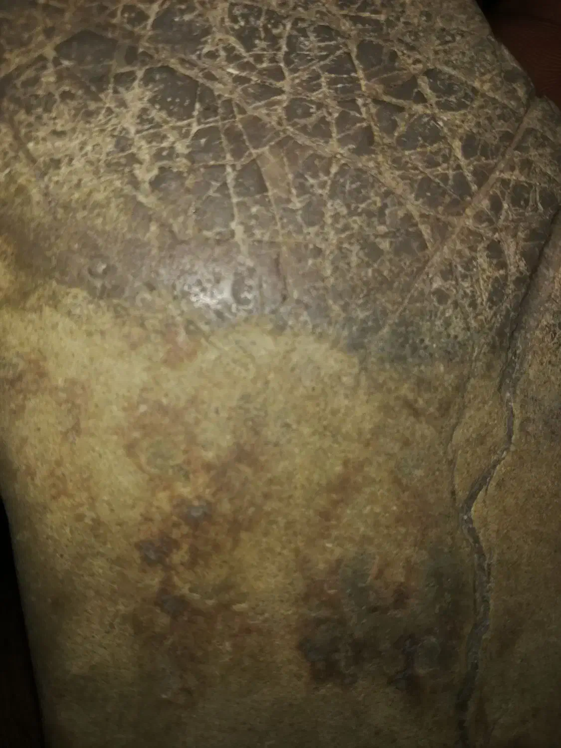 فروش فوری 300گرم یاقوت فقط امروز فقط|جواهرات|شیراز, لاله|دیوار