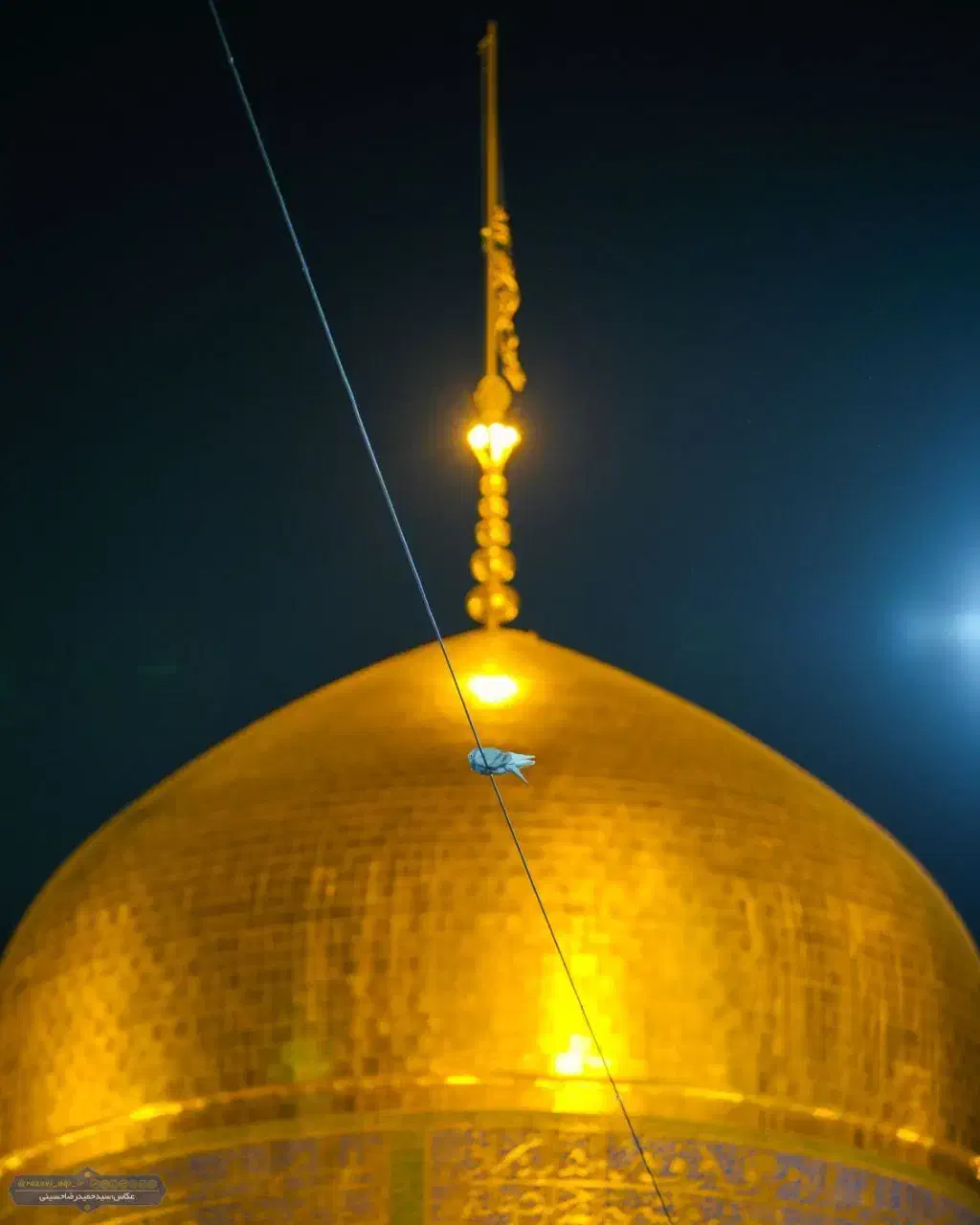 سفرهای زیارتی مشهد مقدس|تور و چارتر|تفرش, |دیوار