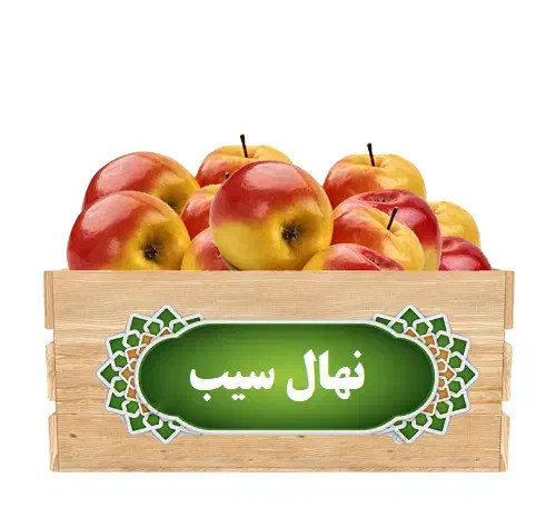 پیش فروش نهال هلو و شلیل ، سیب ، گلابی|گل و گیاه طبیعی|سمیرم, |دیوار