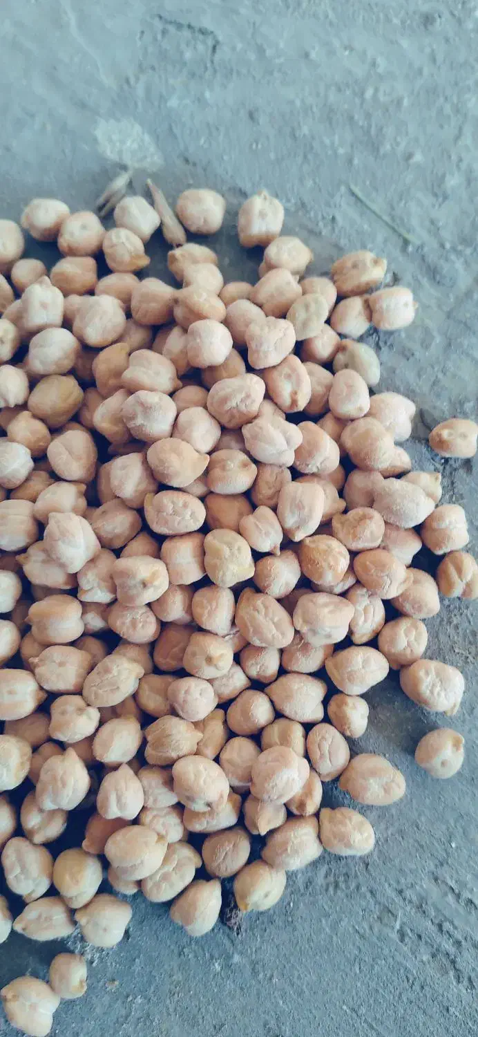 فروش نخود درجه یک|خوردنی و آشامیدنی|صحنه, |دیوار