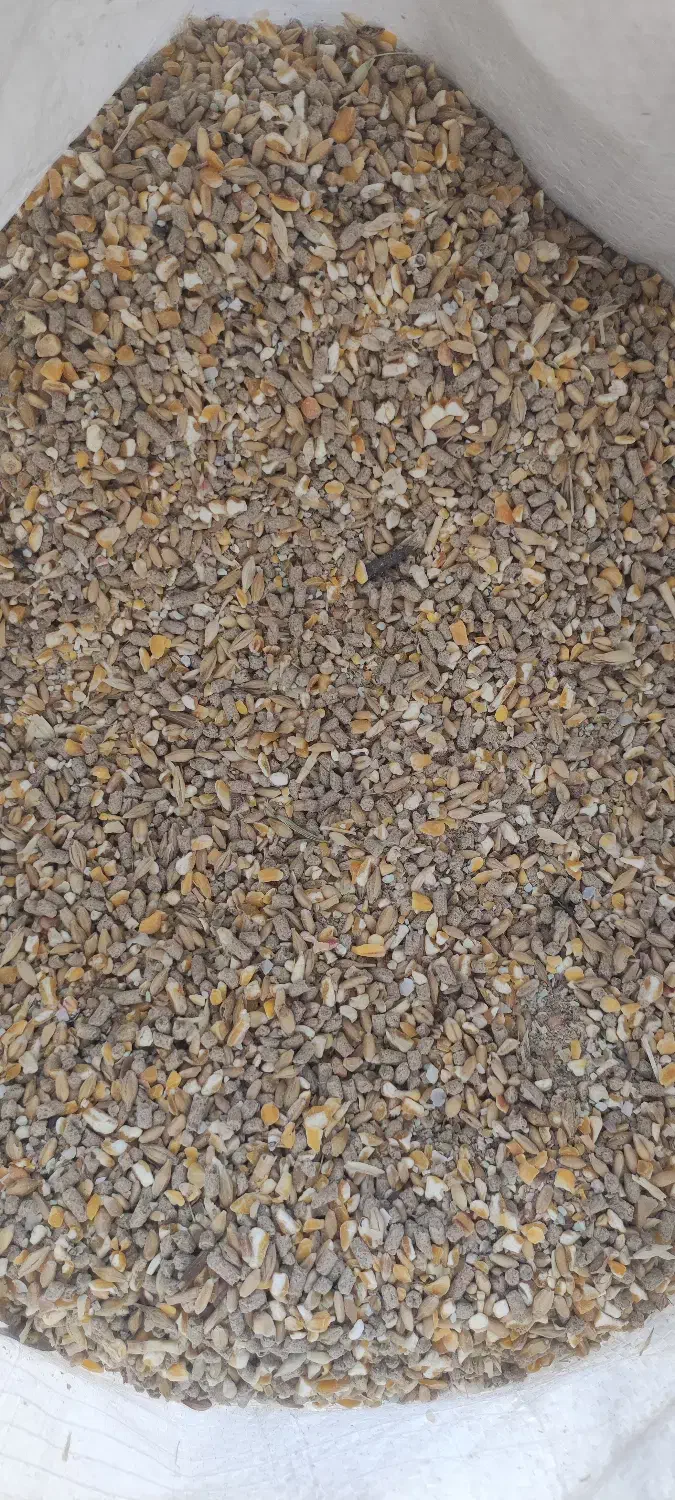 خوراک آماده|لوازم جانبی حیوانات|بهشهر, |دیوار