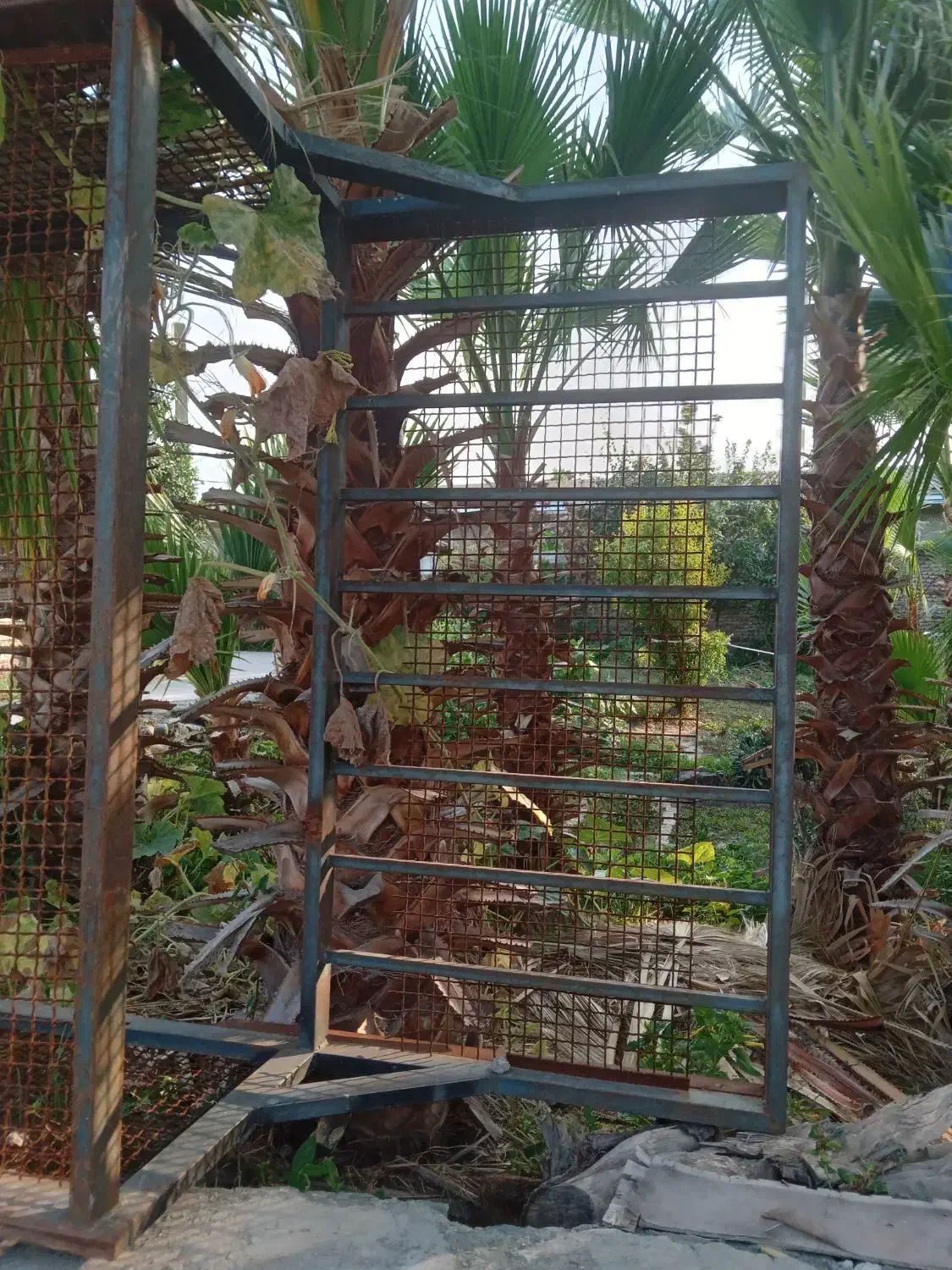 اتاق مزدا ۱۶۰۰|قطعات یدکی و لوازم جانبی|نوکنده, |دیوار