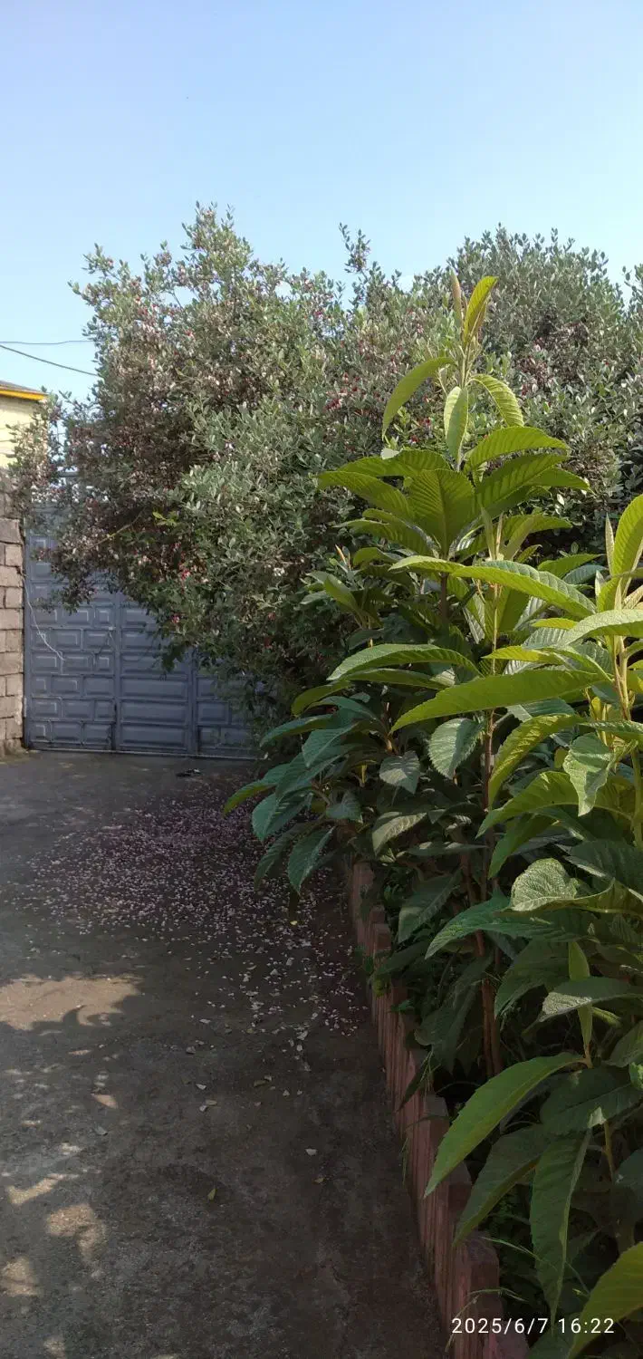 اجاره روزانه/هفتگی/ماهانه آپارتمان ۷۰ متری|اجارهٔ کوتاه‌مدت آپارتمان و سوئیت|آستارا, |دیوار