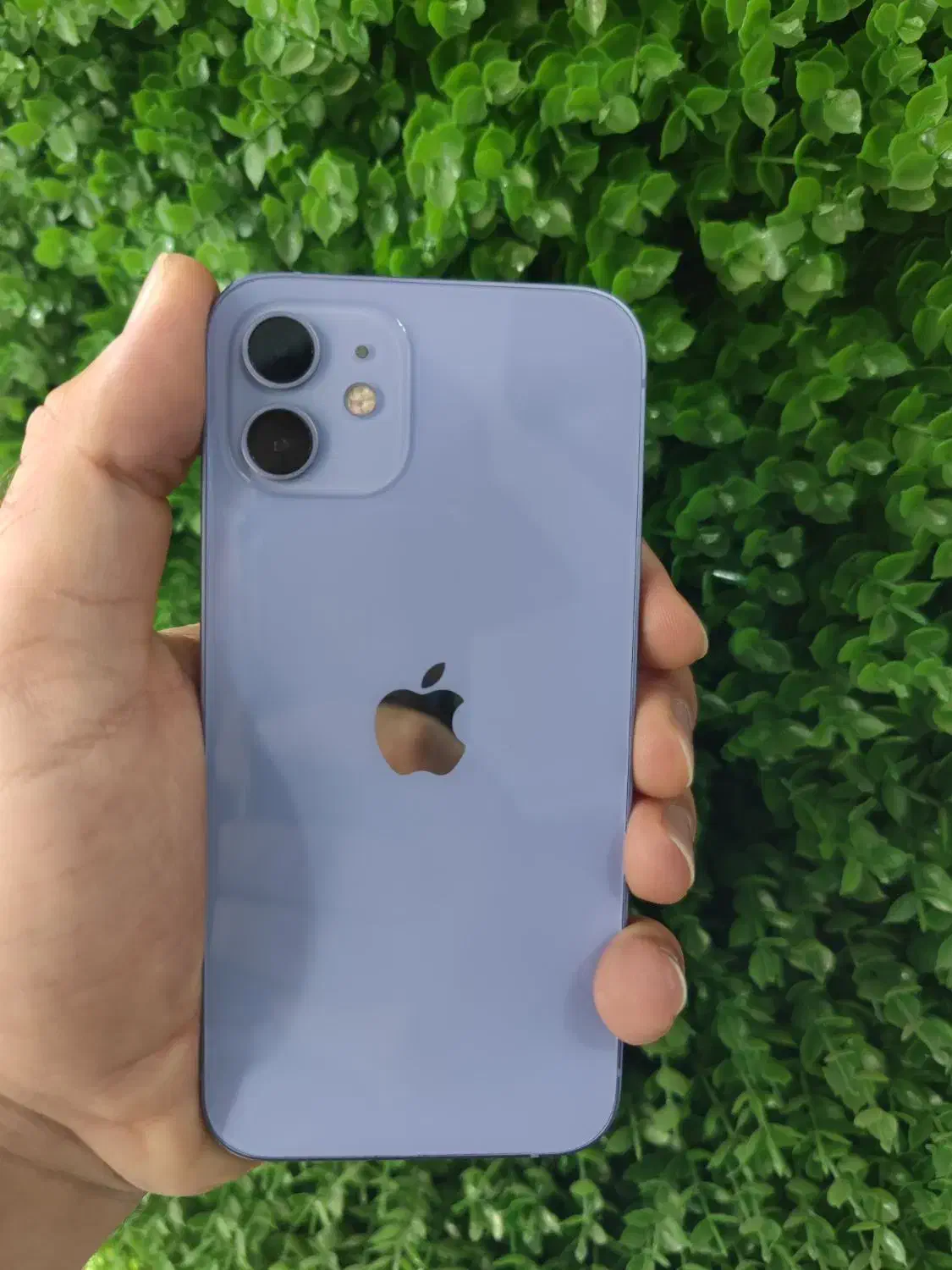 iphone 12|موبایل|ارومیه, |دیوار