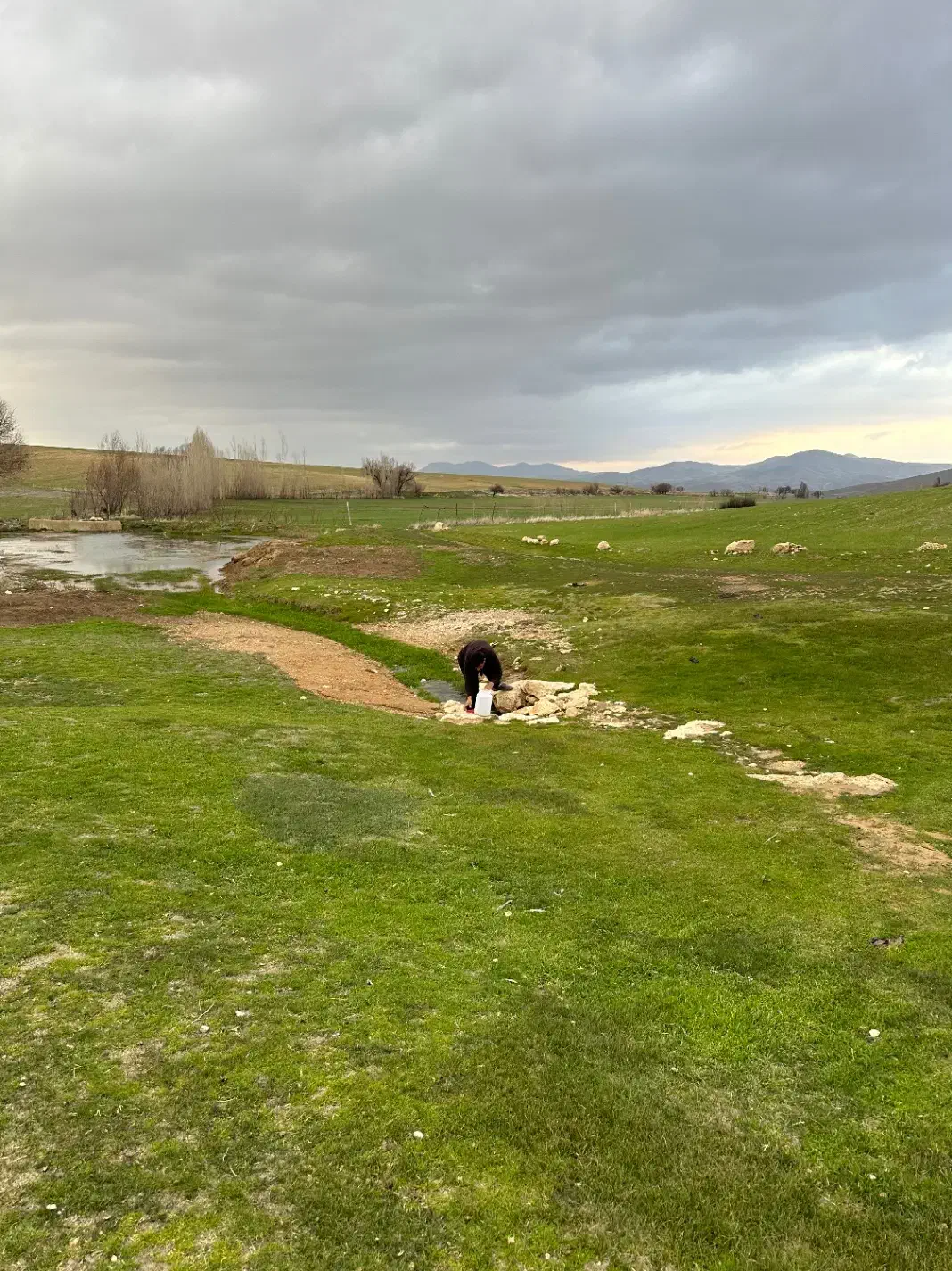 زمین کشاورزی|فروش دفتر صنعتی، کشاورزی، تجاری|بوکان, |دیوار