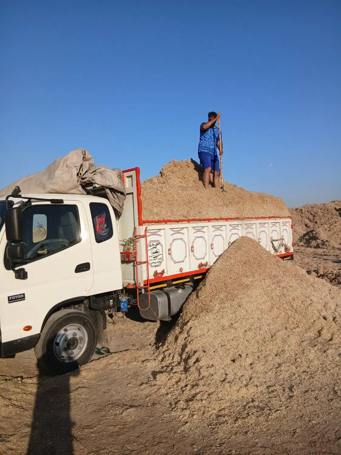 فروشی|حیوانات مزرعه|زارچ, |دیوار