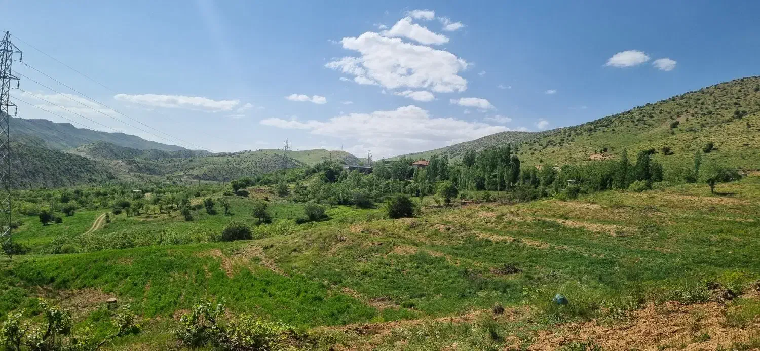 گروه طبیعتگردی نیکوتور|تور و چارتر|شیراز, باباکوهی|دیوار