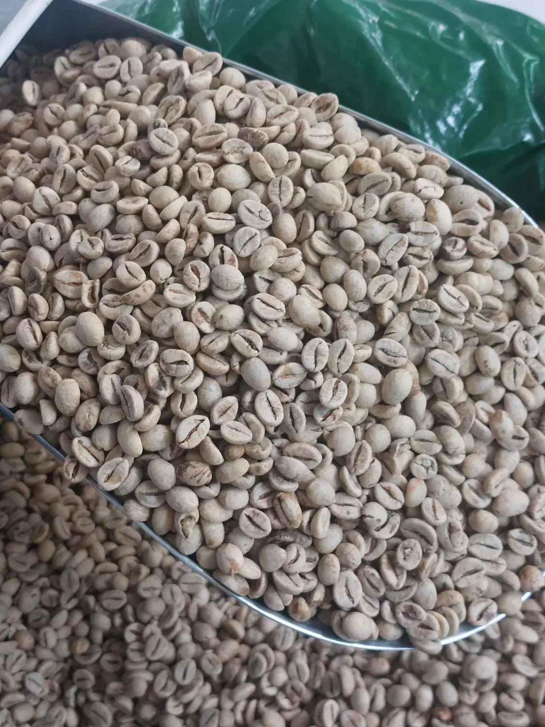 قهوه|عمده‌فروشی|اسلام‌‌آباد غرب, |دیوار