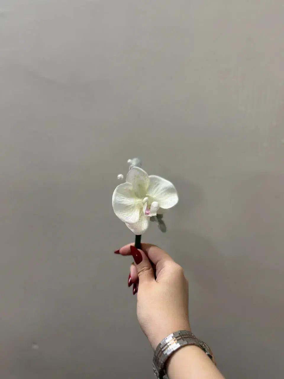 دسته‌گل عروس با سازه اروپایی|گل و گیاه طبیعی|تهران, امانیه|دیوار