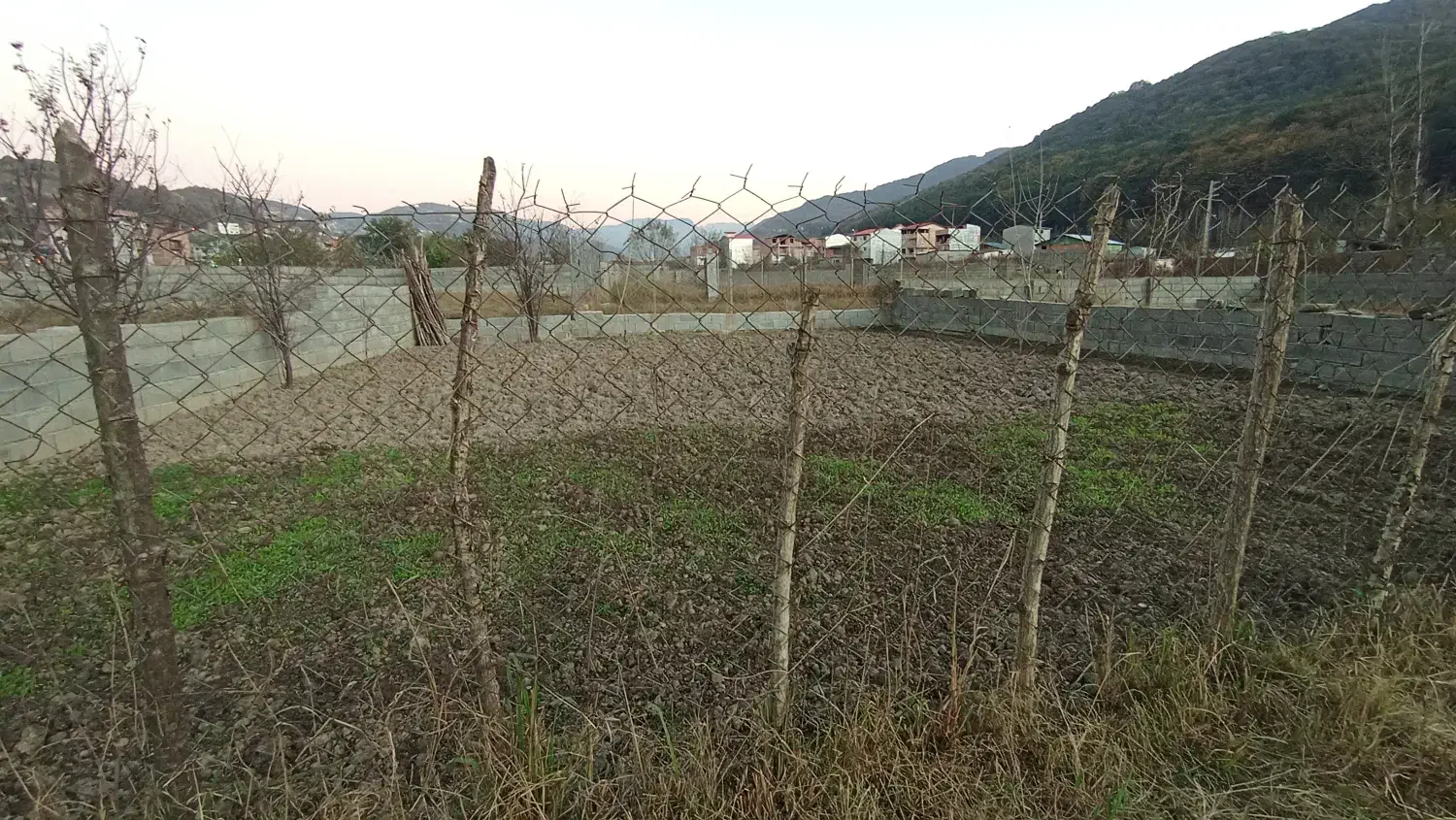 زمین باغی|فروش زمین و ملک کلنگی|زیرآب, |دیوار