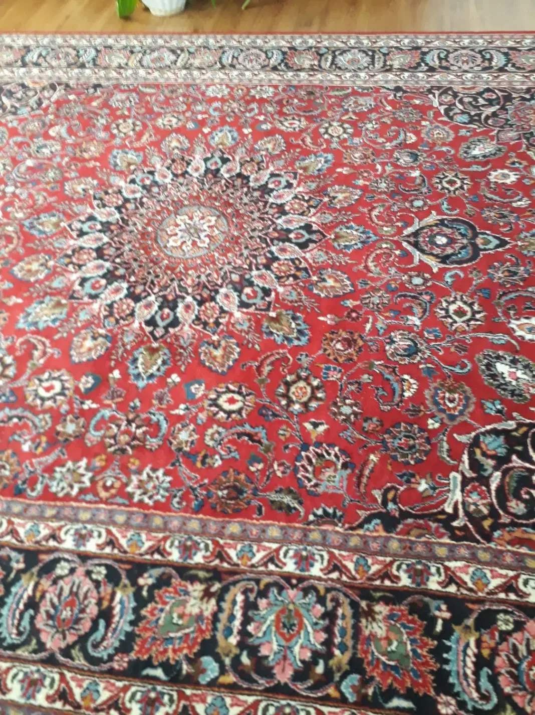 فرش دستی کاملآ سالم ریشه ها سالم|فرش|مشهد, چهارچشمه|دیوار