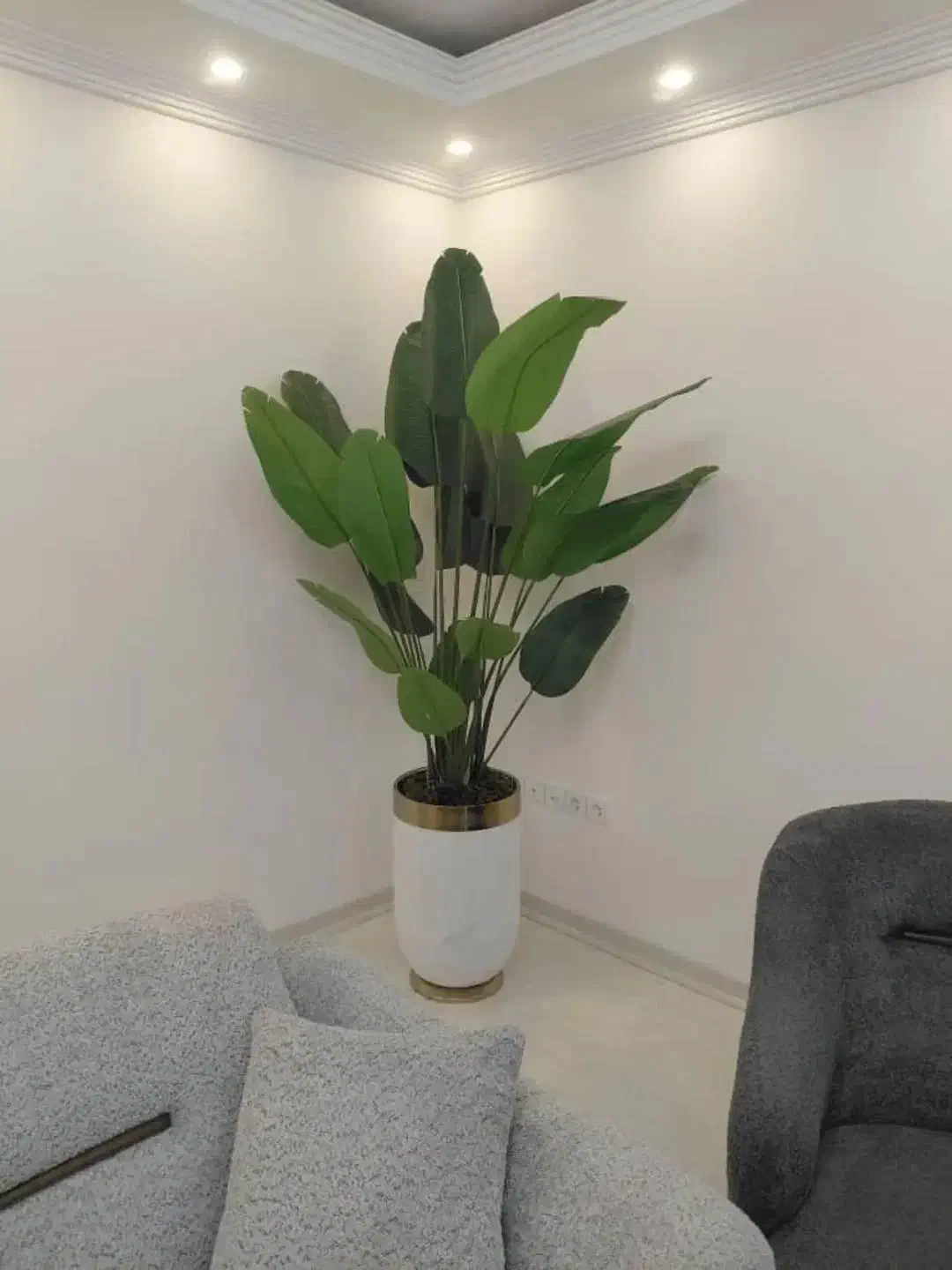 درختچه مصنوعی|گل مصنوعی|تبریز, |دیوار