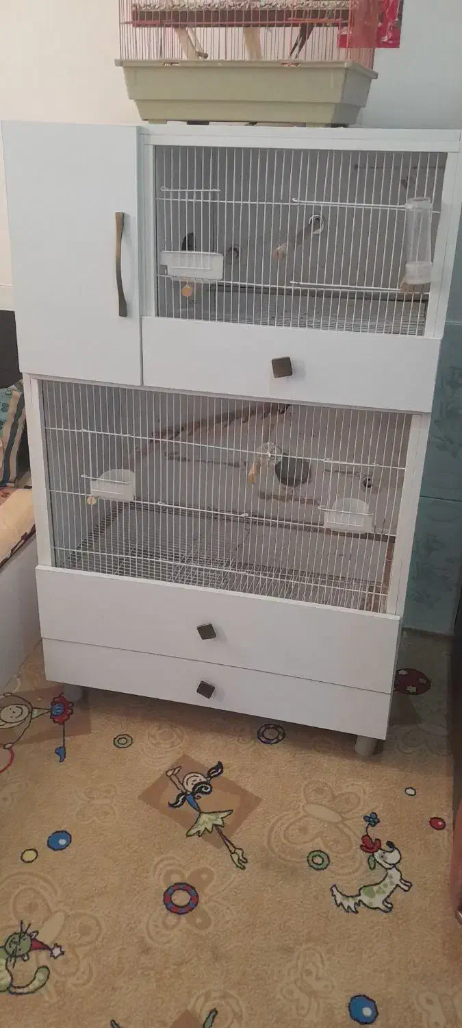 قفس پرنده بزرگ وجادار|لوازم جانبی حیوانات|مشهد, ترمینال|دیوار