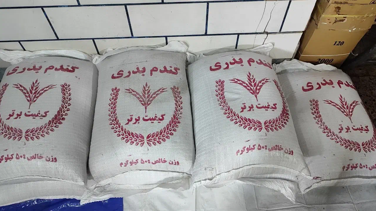 گندم برات آبیاری بوجاری وسم زدایی شده|عمدهفروشی|باوی, |دیوار