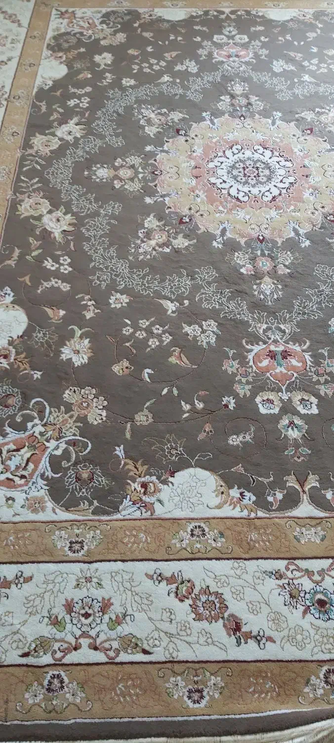 قالی در حد نو|فرش|ویسیان, |دیوار