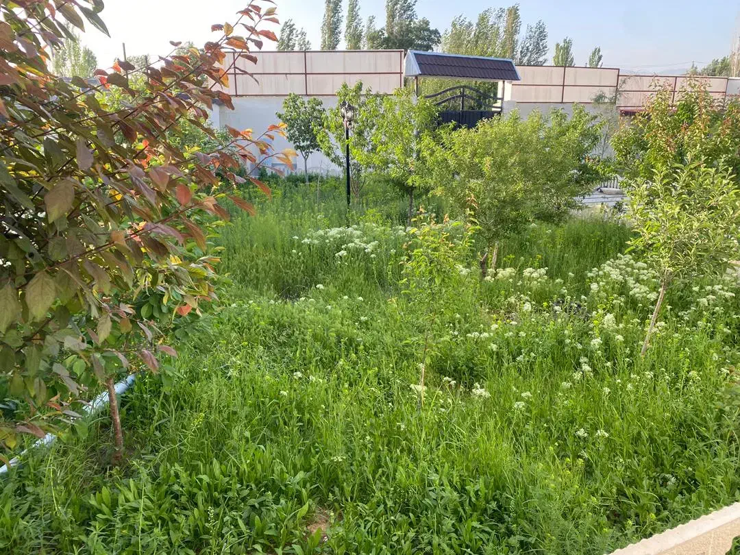 مالک|فروش خانه و ویلا|صوفیان, |دیوار