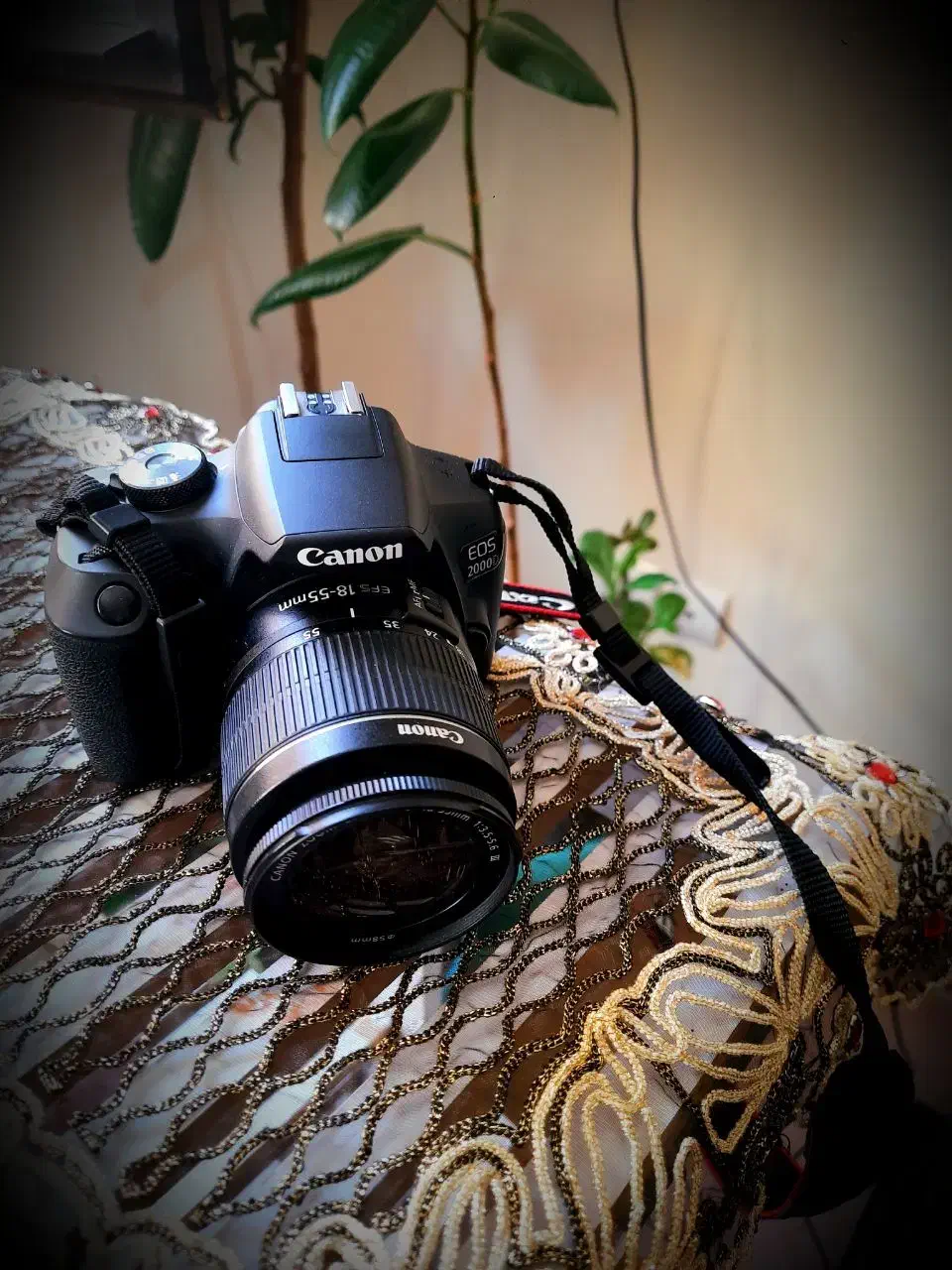 دوربین عکاسی|دوربین عکاسی و فیلمبرداری|بیرجند, |دیوار