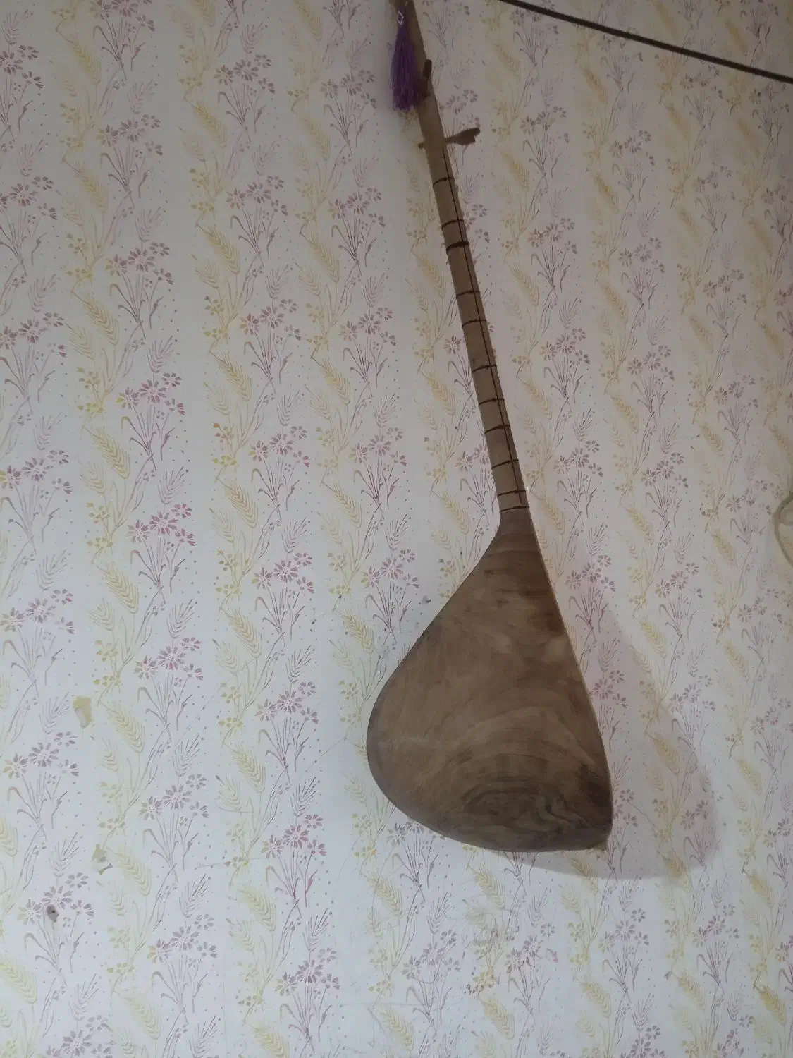 دوتار بسیار خوش صدا|سازهای سنتی|فریمان, |دیوار