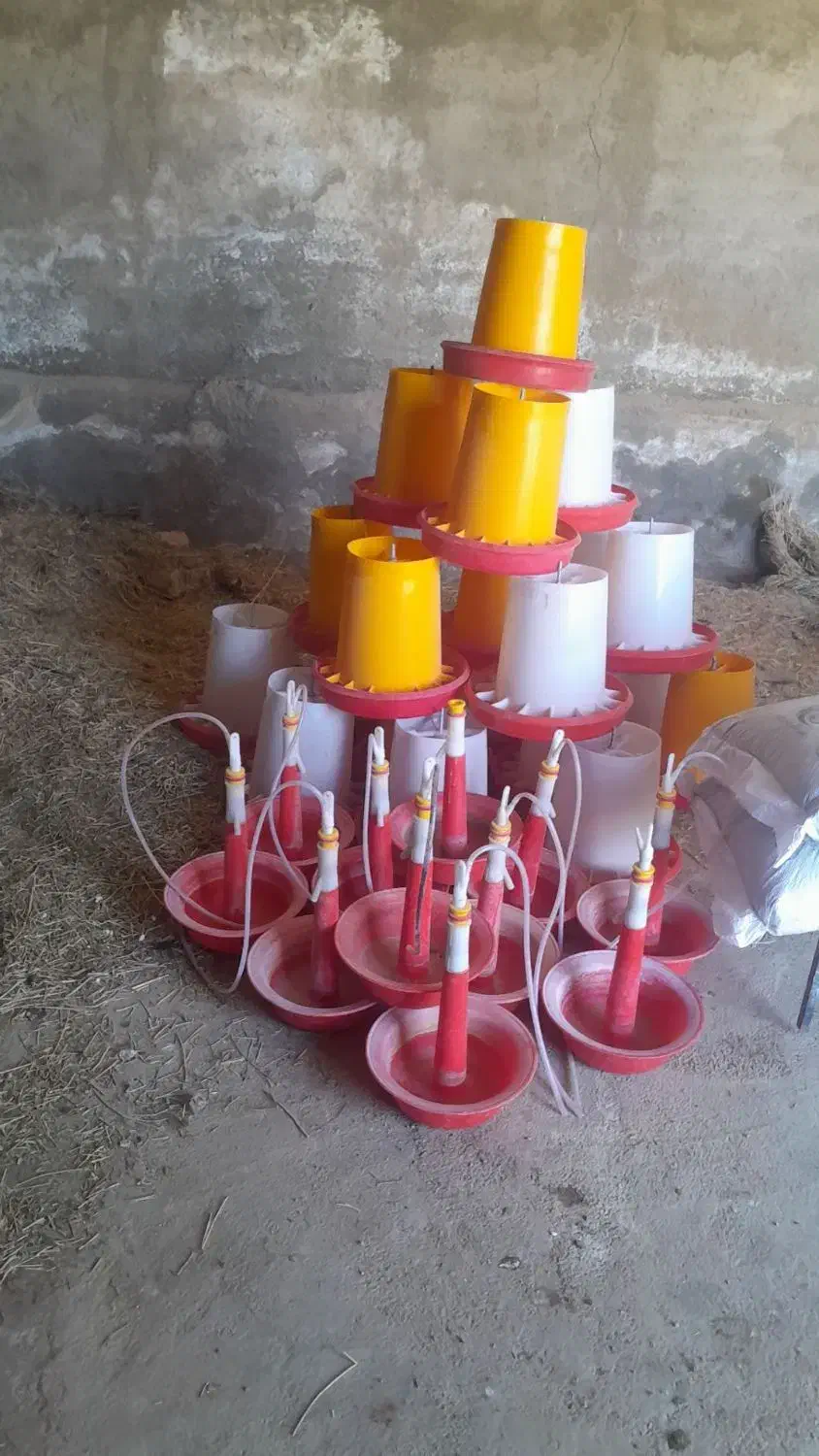 لوازم پروش بوقلمون قیمت مناسب|لوازم جانبی حیوانات|مشهد, هفده شهریور|دیوار