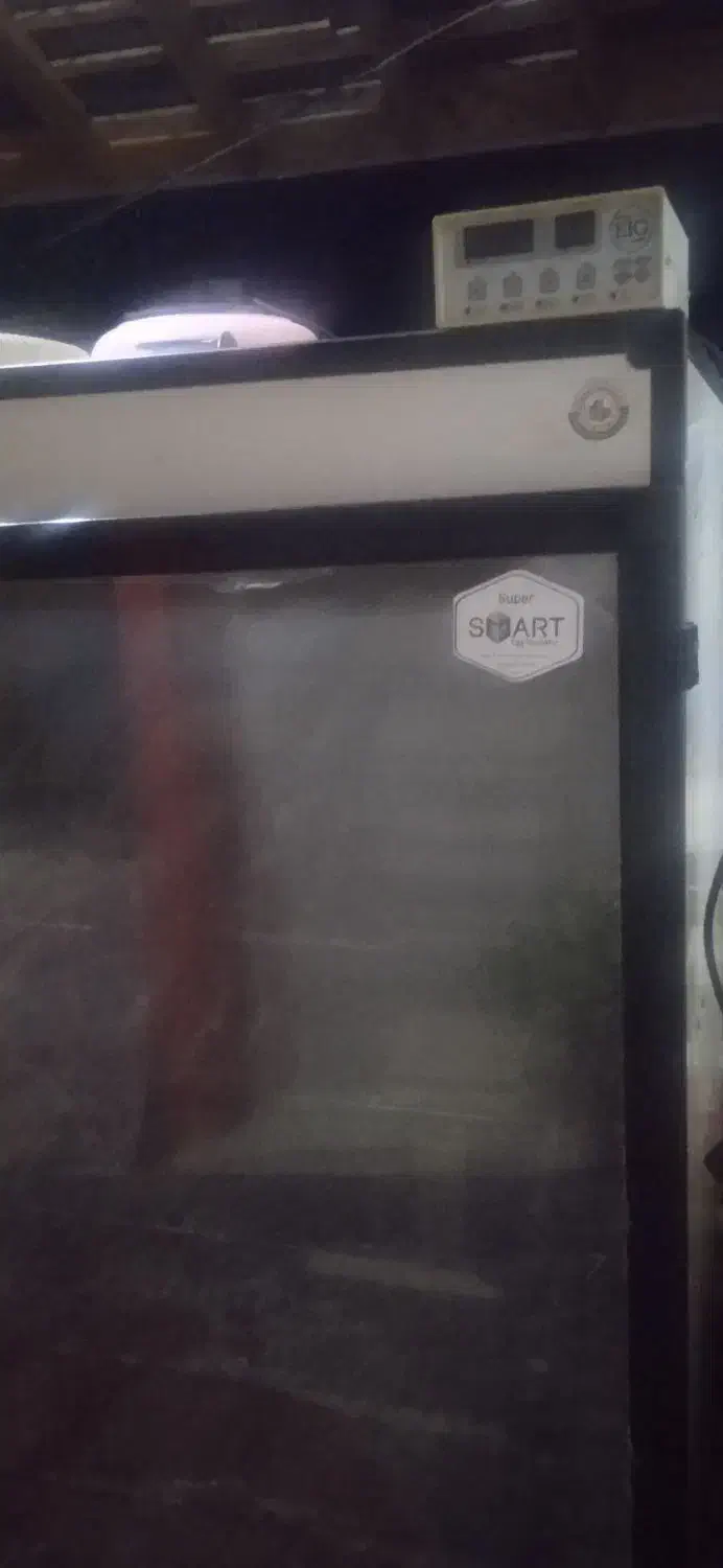 دستگاه جوجه کشی|حیوانات مزرعه|آستانه اشرفیه, |دیوار