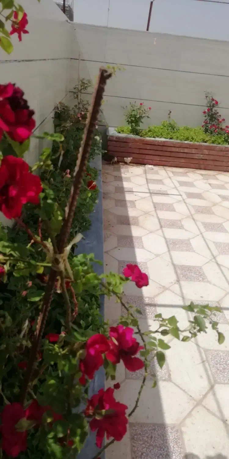 فروش ویلایی ۱۲۰ متری 180زیربنا،دوبلکس، شمس آبادی35|فروش آپارتمان|سبزوار, شرق کال عیدگاه|دیوار