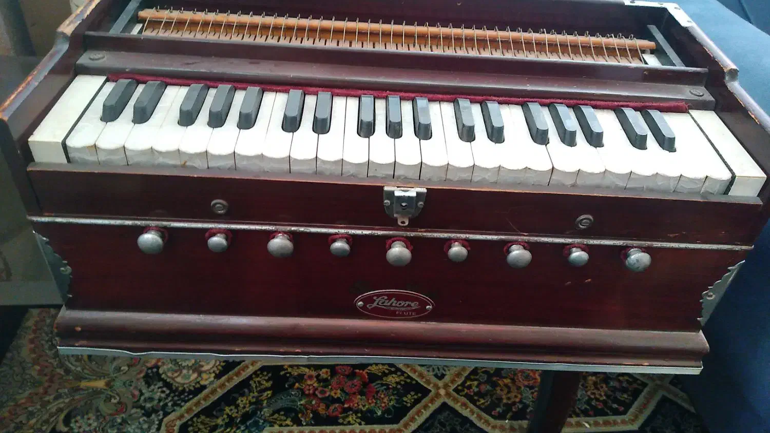 هارمونی .ارمنی اصل هندی|پیانو، کیبورد، آکاردئون|تهران, باغ خزانه|دیوار