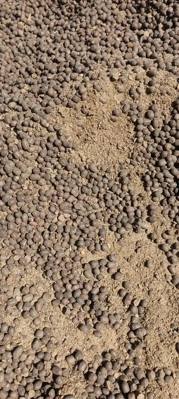 کودگوسفندی/درخت/پسته/باغبانی/دامی|خدمات باغبانی و درختکاری|شهر بابک, |دیوار