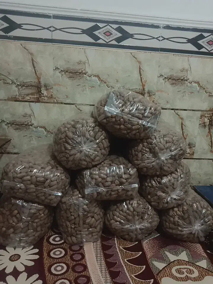خرما سفید|عمده‌فروشی|بم, |دیوار
