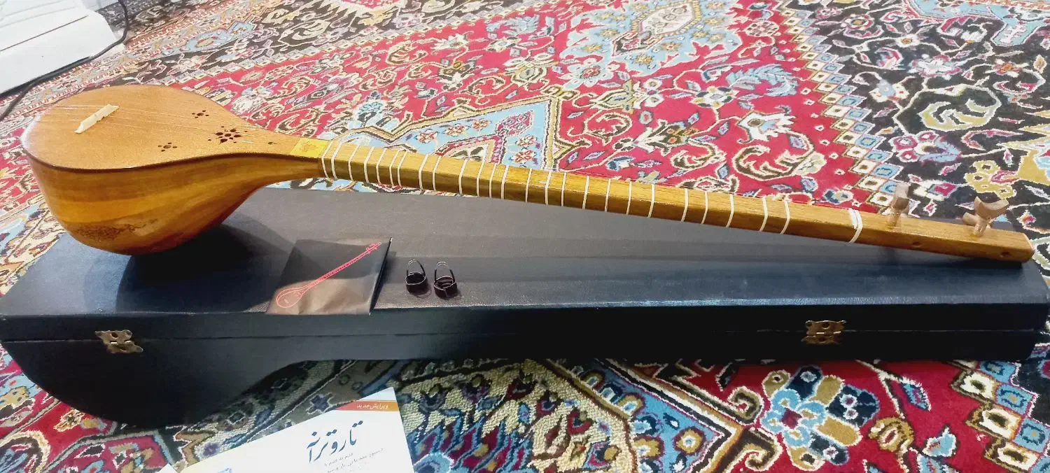 سه تار نو|سازهای سنتی|دورود, |دیوار