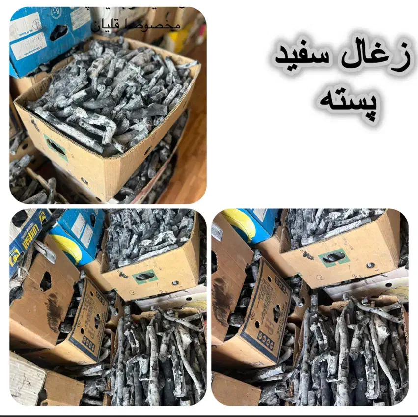 پخش زغال عمده پسته|عمده‌فروشی|رشت, پیرکلاچای|دیوار