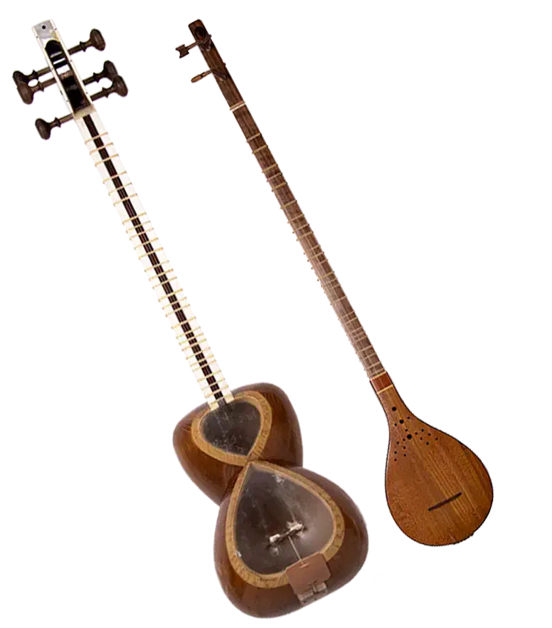 تدریس خصوصی تار و سهتار توسط مدرس خانم|خدمات آموزشی|دوگنبدان, |دیوار