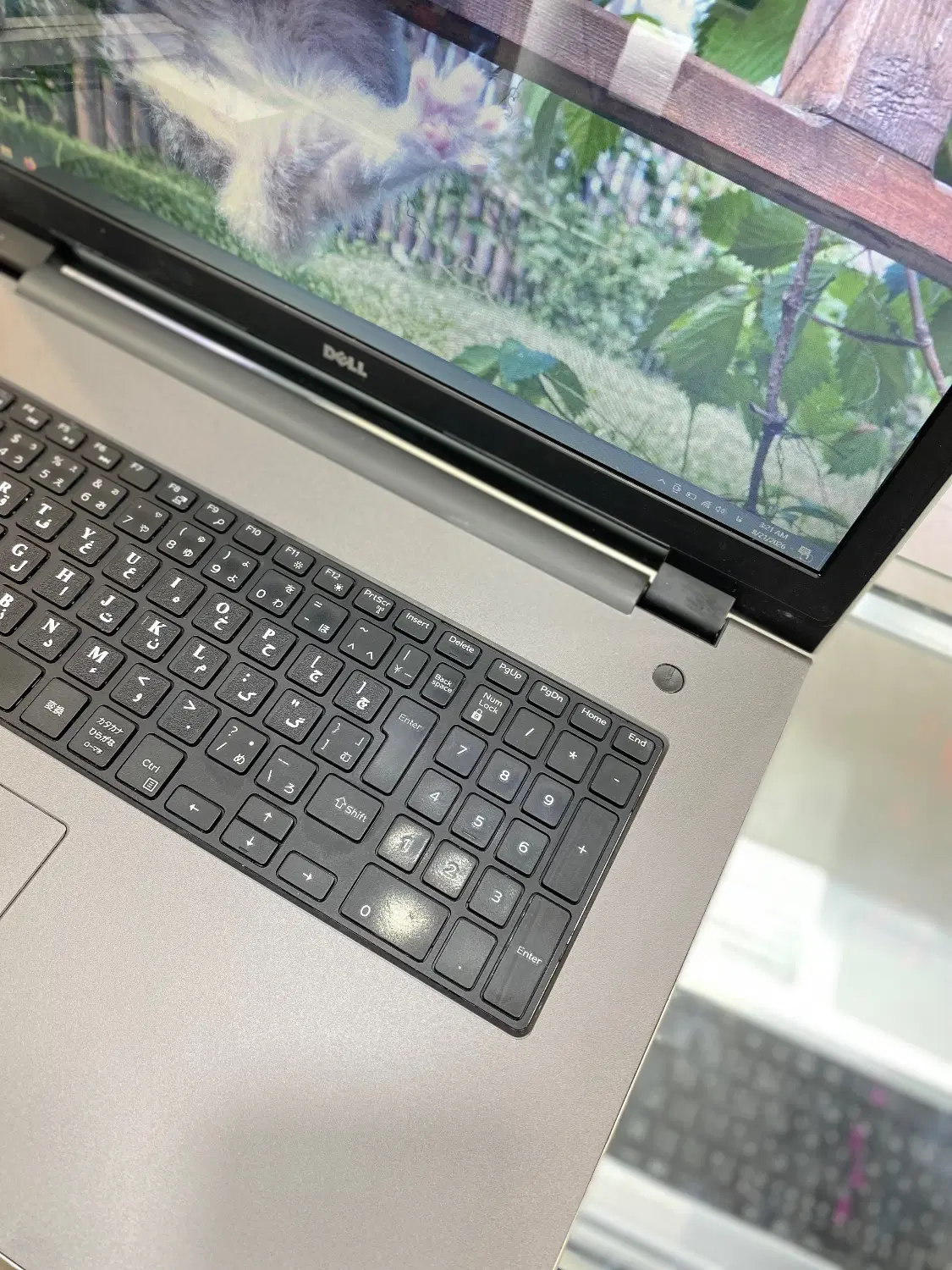 لپ تاپ دل گرافیک مجزا corei5 فتوشاپ و طراحی DELL|رایانه همراه|مشهد, سراب|دیوار