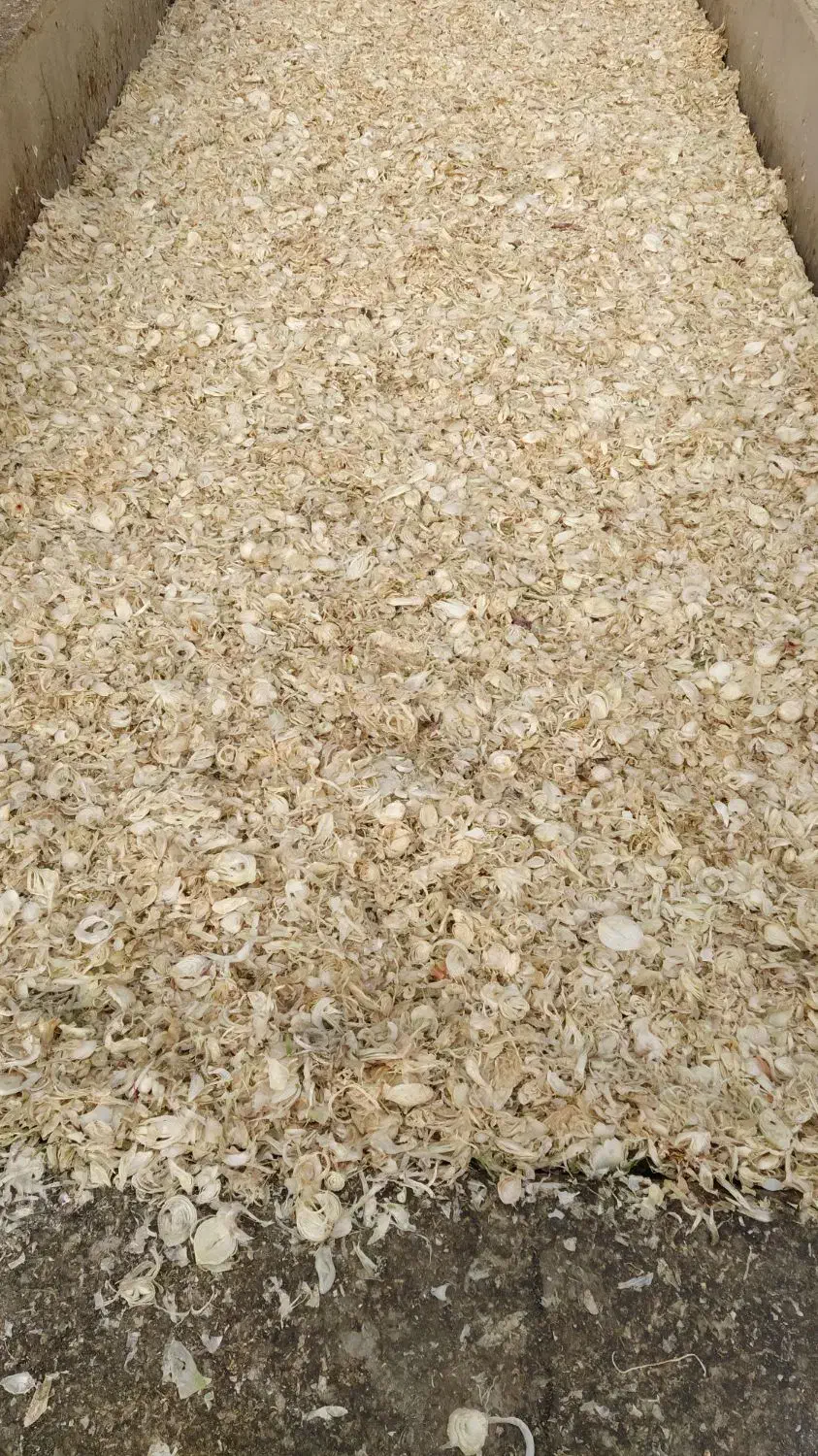 پیاز|خوردنی و آشامیدنی|هرند, |دیوار