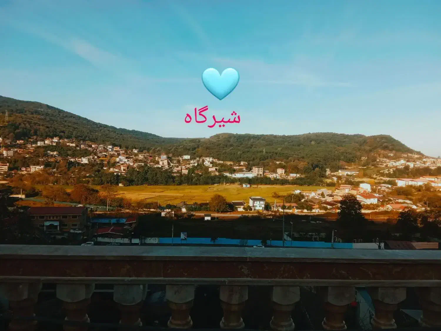 طبیعت خیره کننده جنگلهای هیرکانی وحساسیت در نظافت|اجارهٔ کوتاهمدت ویلا و باغ|شیرگاه, |دیوار