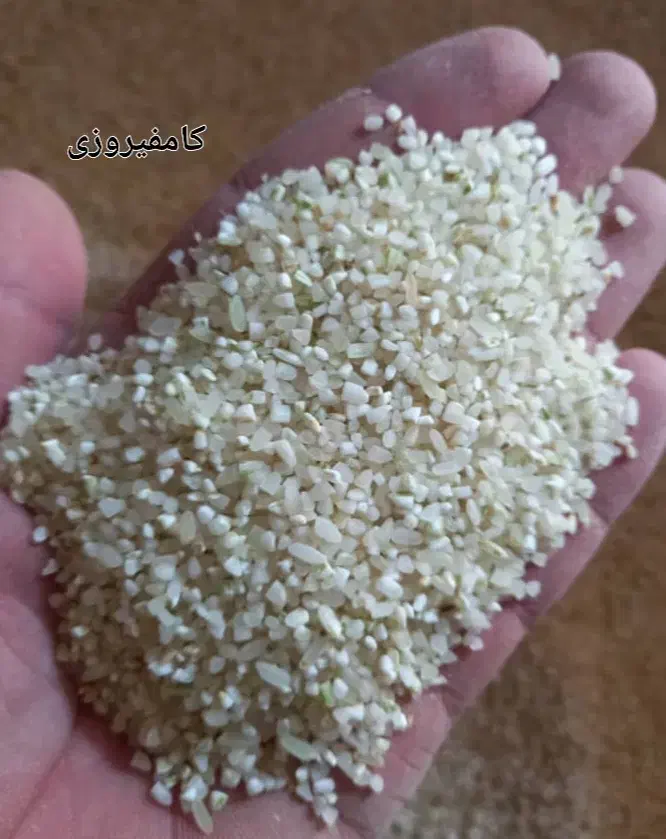 خورده برنج|خوردنی و آشامیدنی|شیراز, کوشک میدان|دیوار