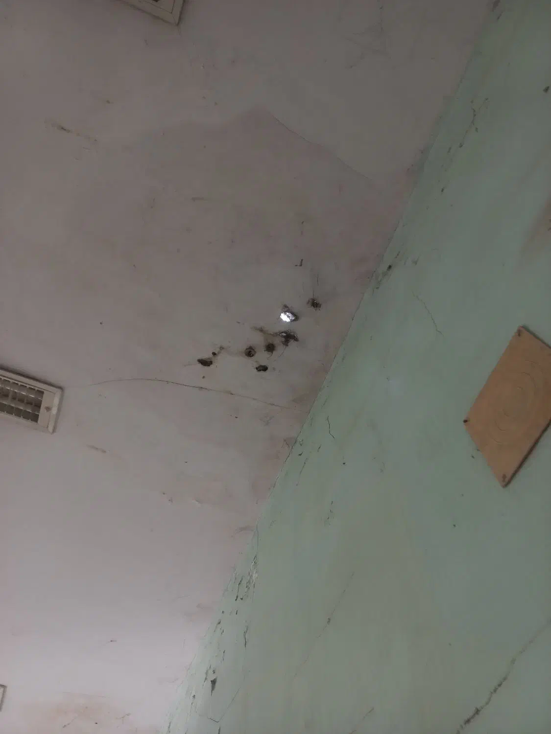 رنگ آمیزی مدرسه|فعالیت داوطلبانه|اهواز, اهواز|دیوار