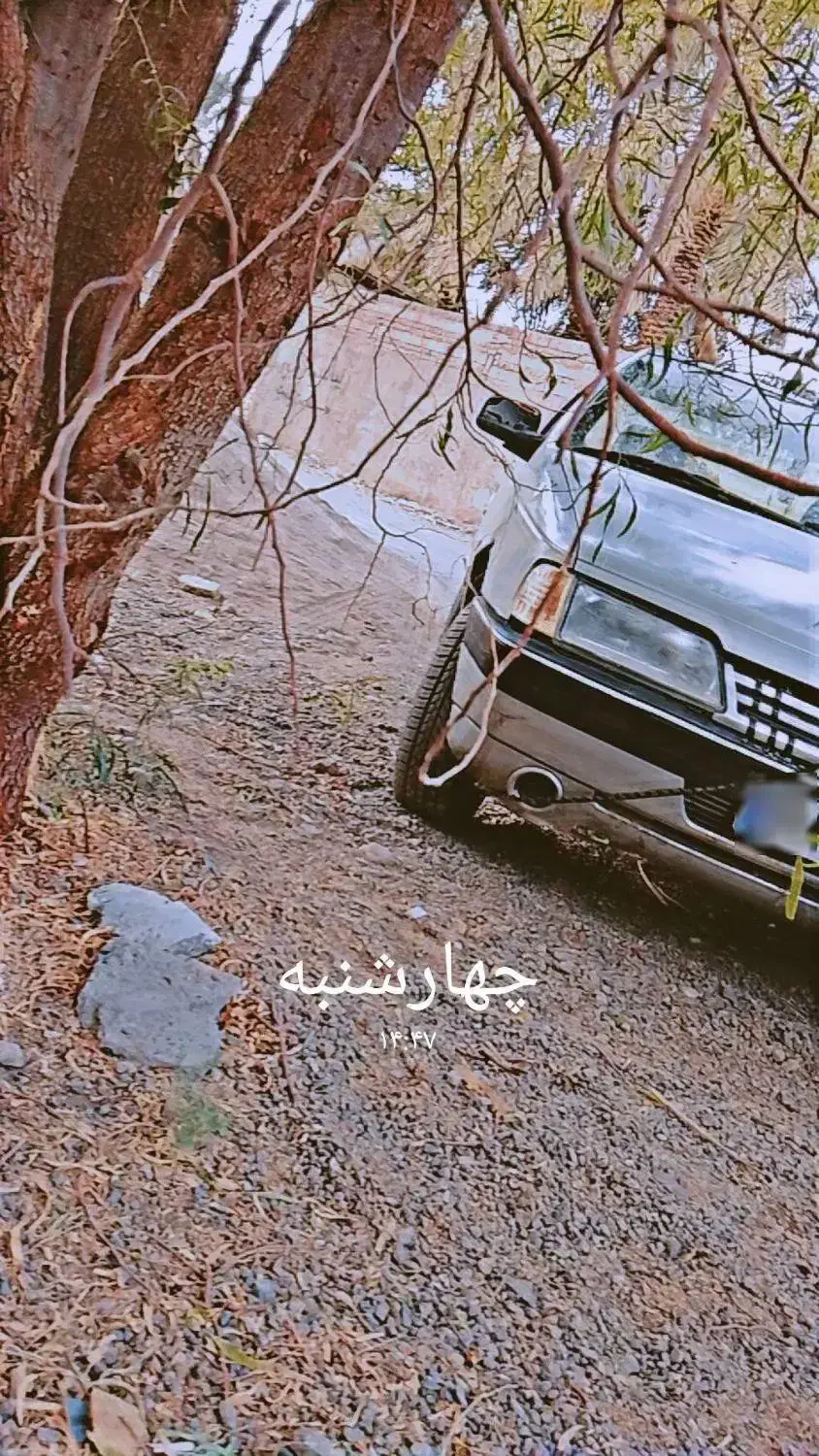 پژو|خودرو سواری و وانت|بم, |دیوار