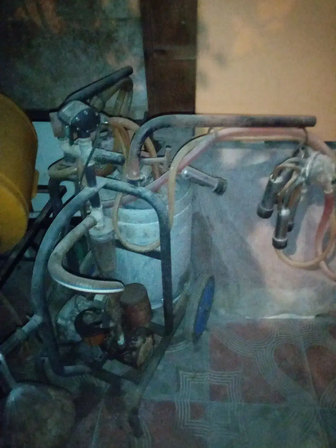 شیر دوش دو پستونکه تبریز|لوازم جانبی حیوانات|ساری, |دیوار