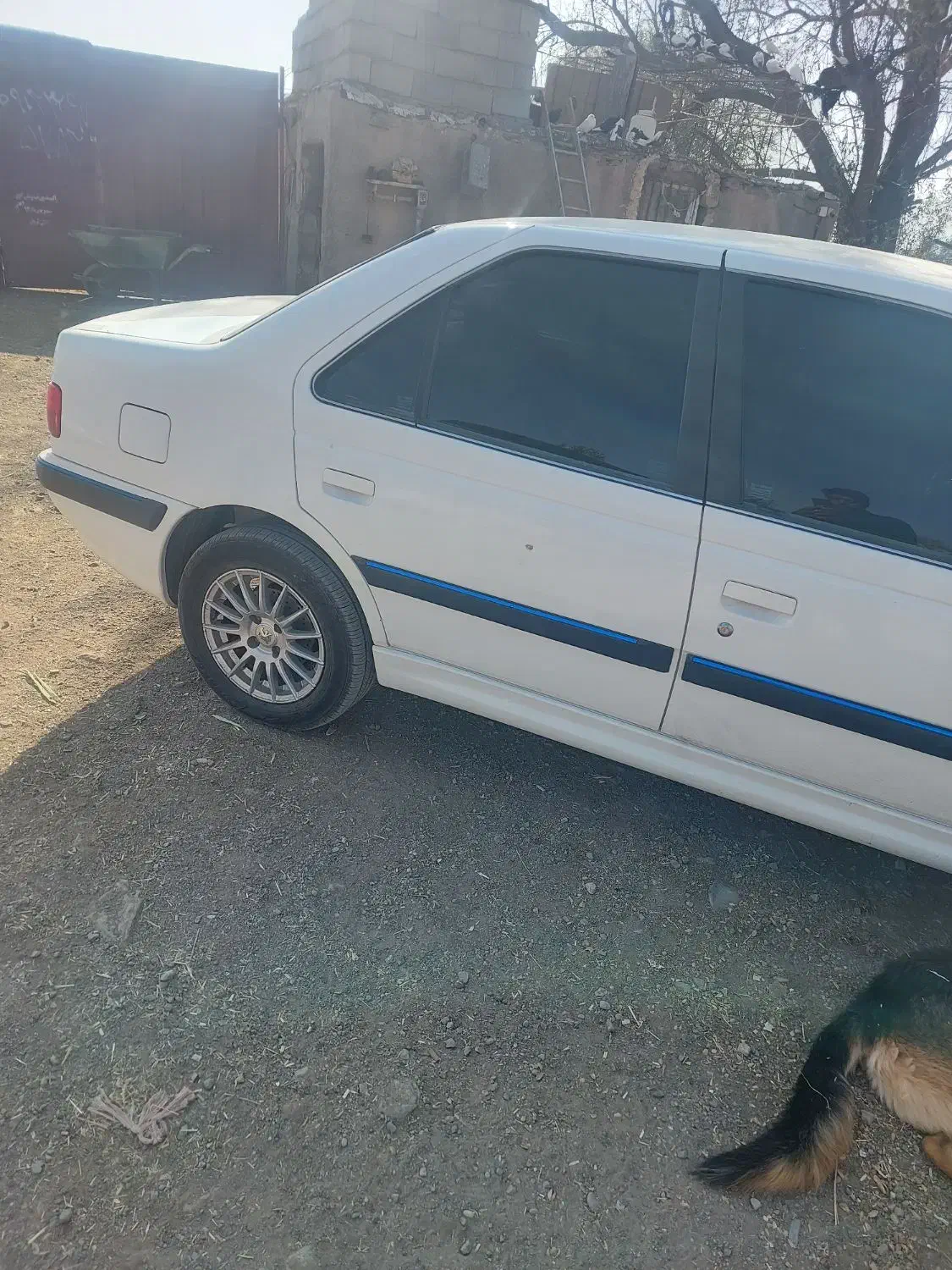 پژو پارس تیوفایو گاز برقی|خودرو سواری و وانت|نگار, |دیوار