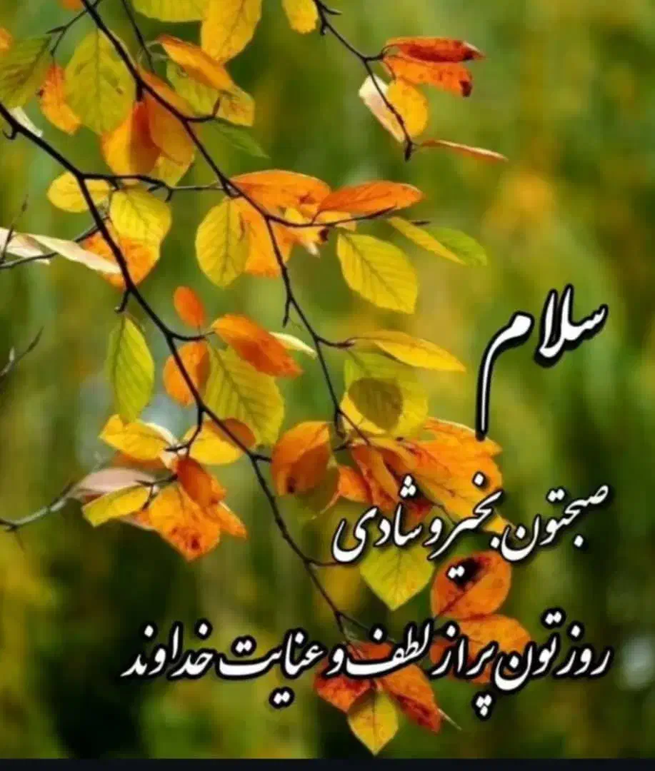 دستیار فیزیوتراپی  واتساپ رزومه و چت|استخدام درمانی، زیبایی، بهداشتی|تهران, سعادتآباد|دیوار