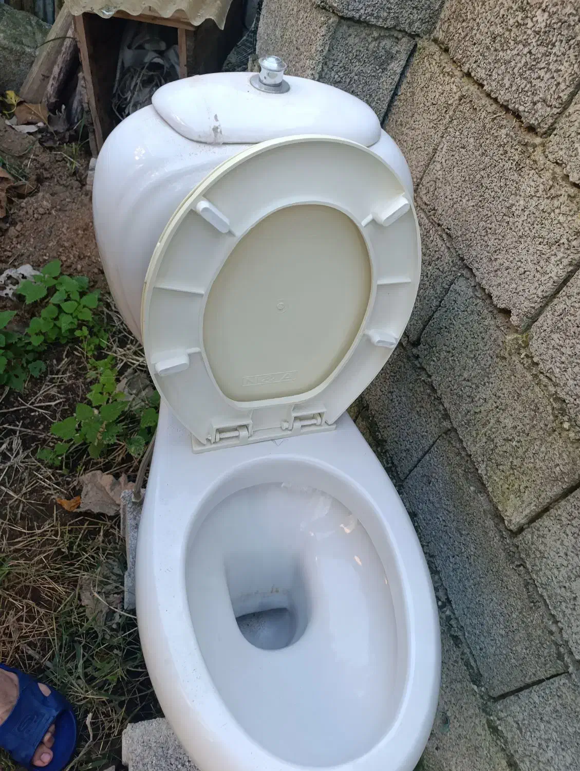 توالت فرنگی سالم|لوازم سرویس بهداشتی|پرهسر, |دیوار