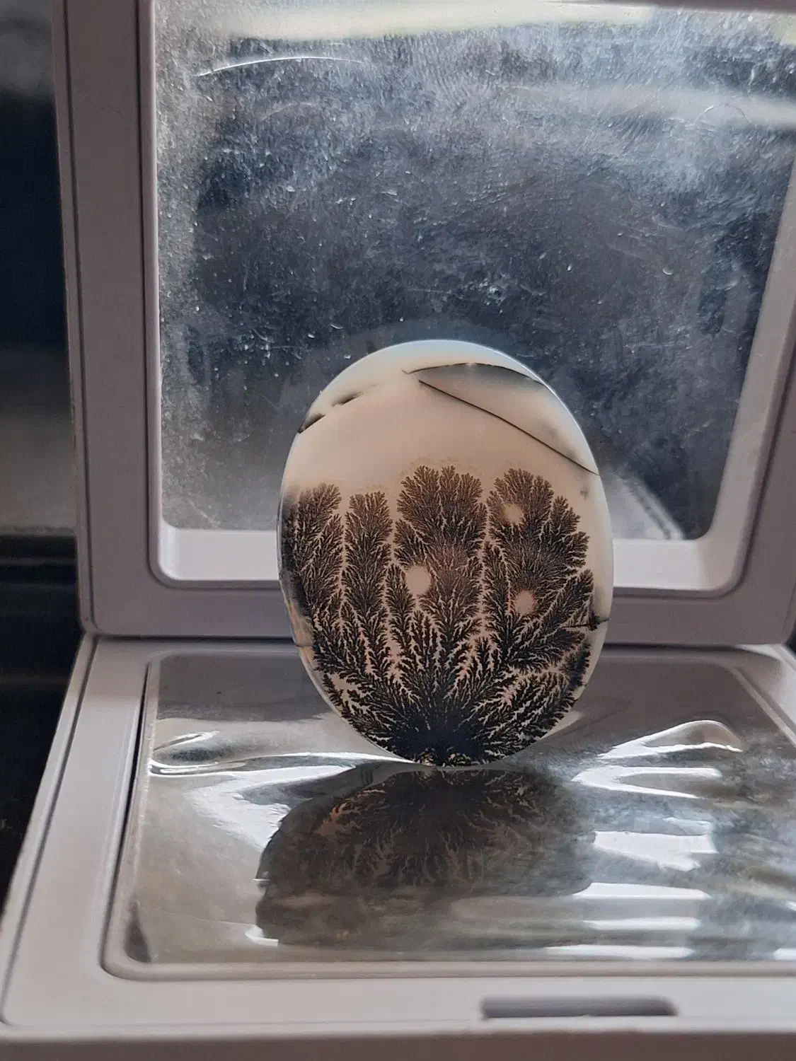 شجر تک درخت|جواهرات|زنجان, |دیوار