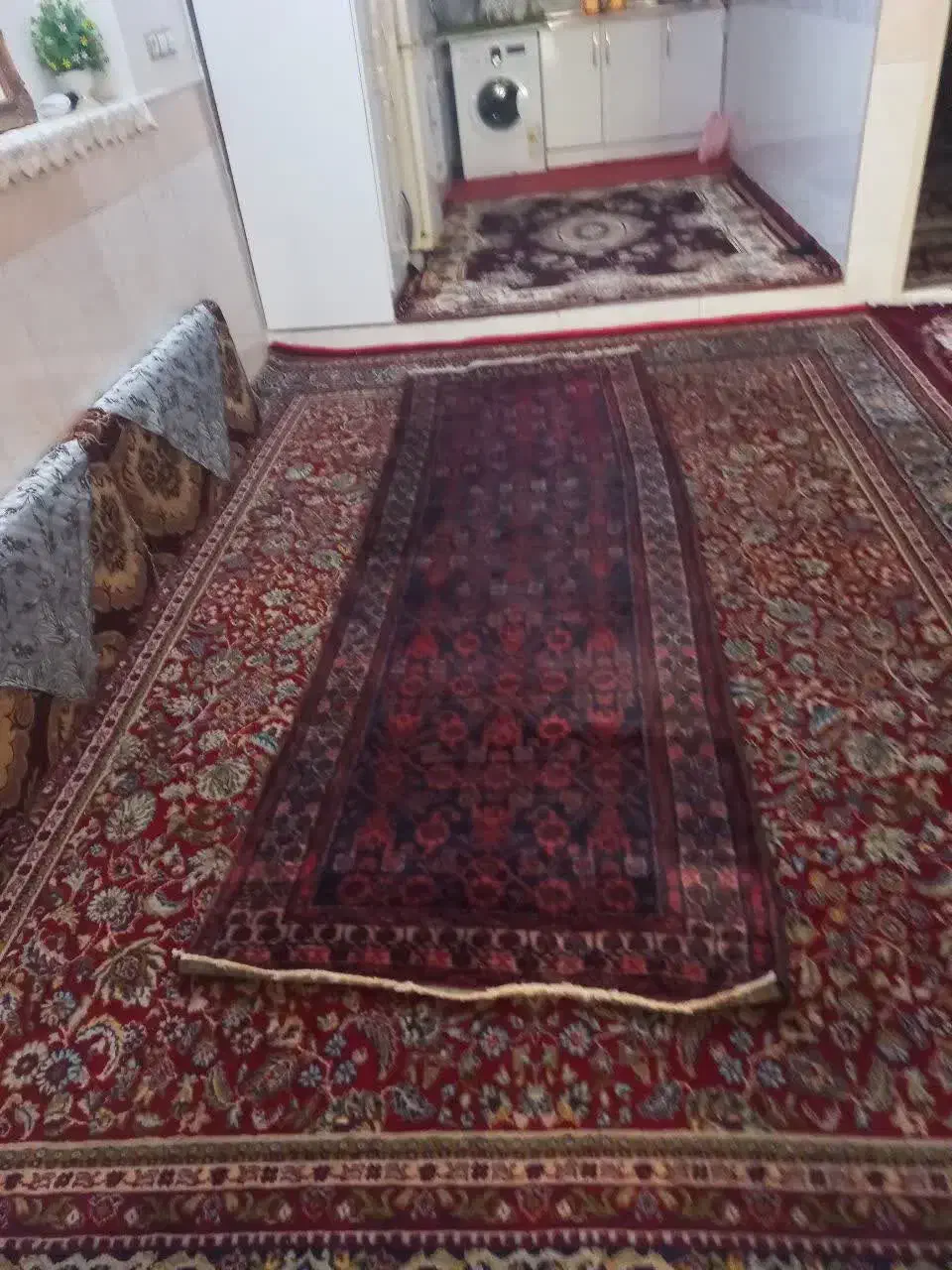 دو عدد فرش پشمی گوسفند دستبافت قدیمی|فرش|قم, شهرک فاطمیه|دیوار