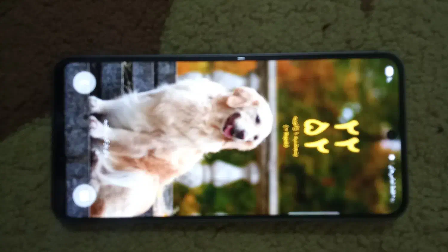 گلکسی a 56|موبایل|اهواز, شهرک اندیشه|دیوار