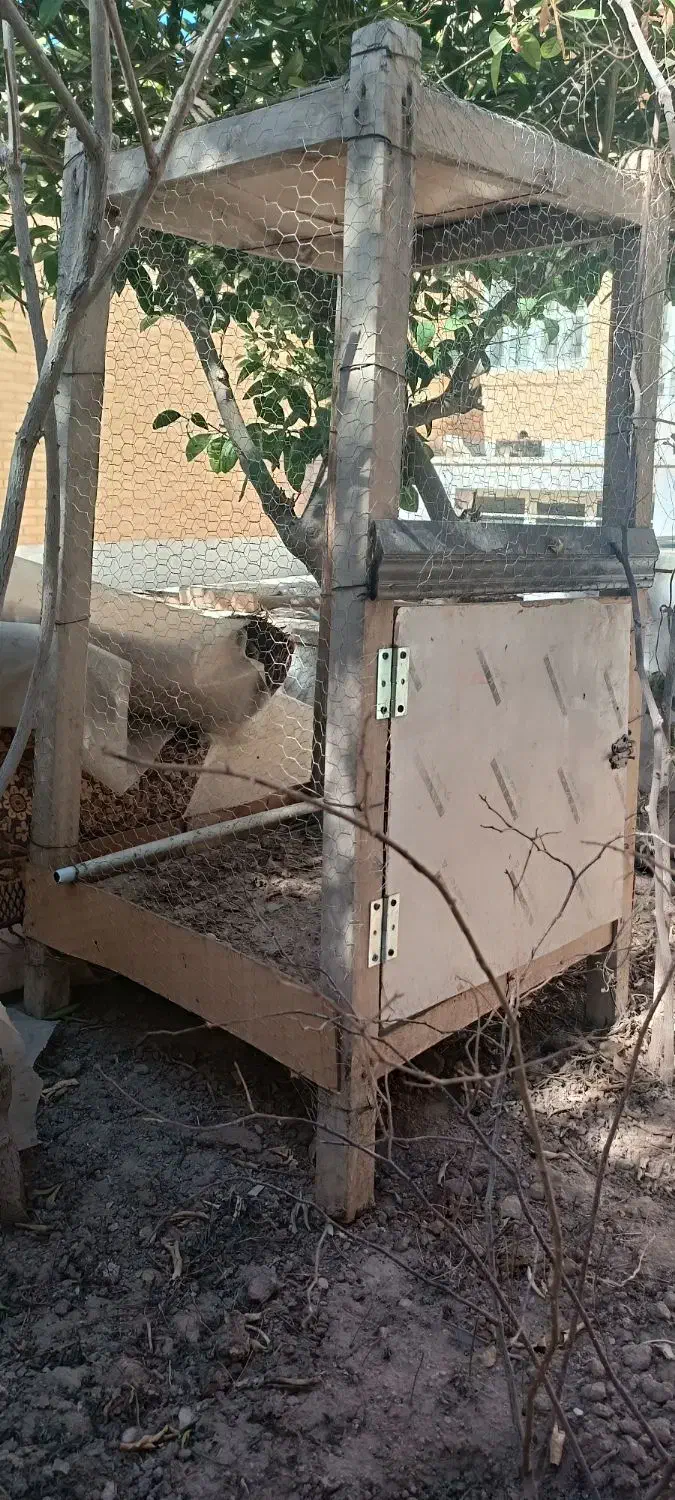 قفس|لوازم جانبی حیوانات|زارچ, |دیوار