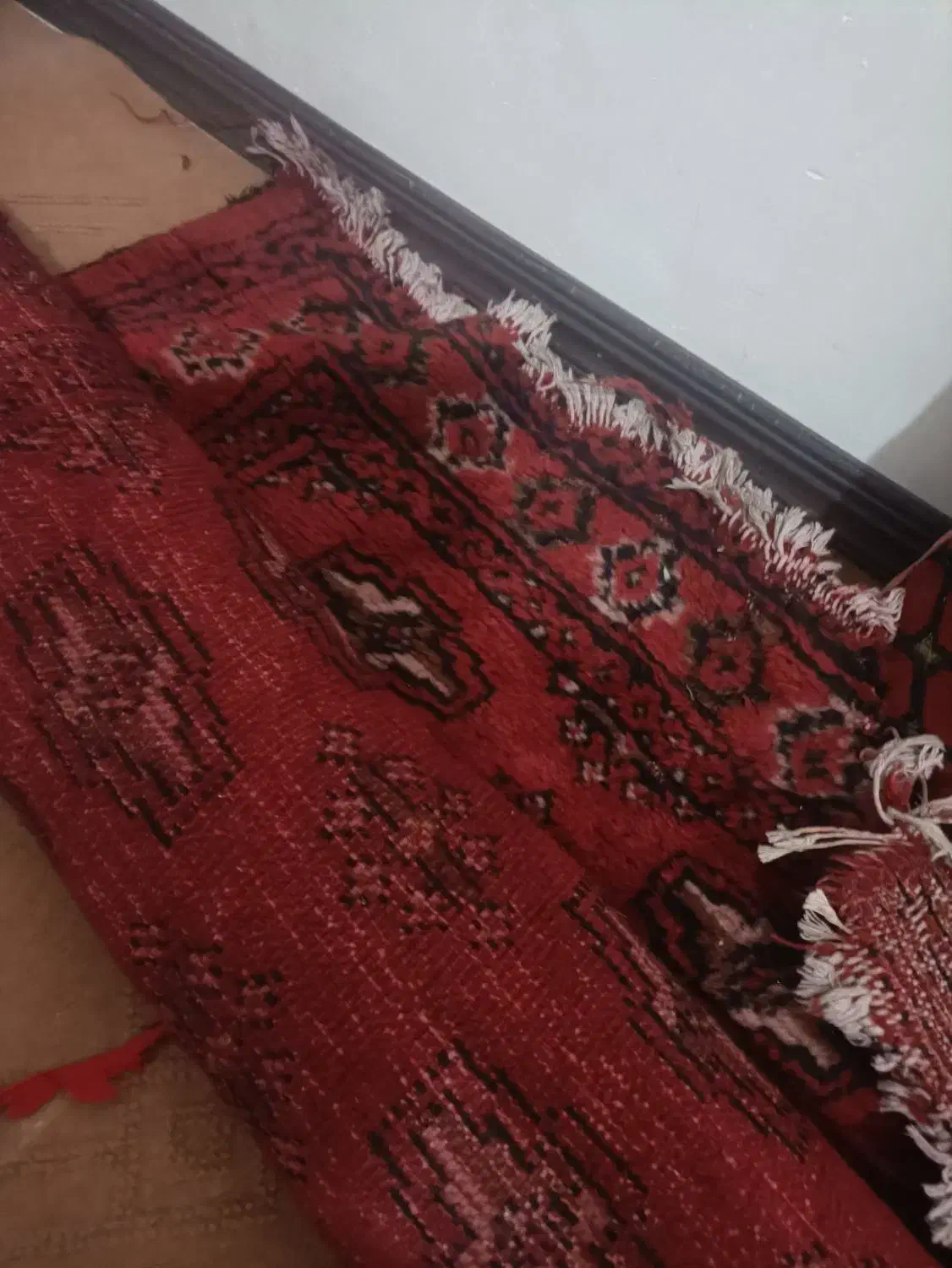 فرش|فرش|دلند, |دیوار