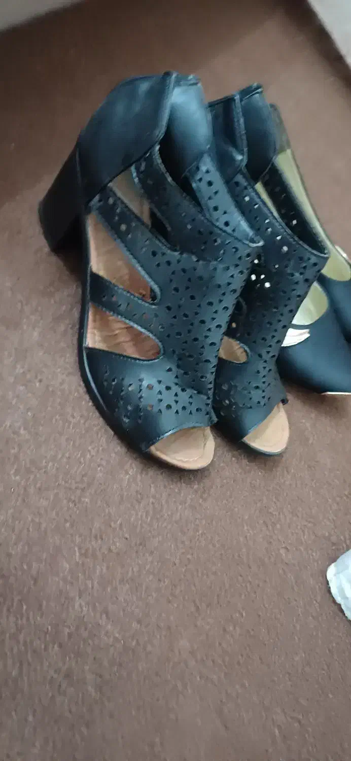 کفش مجلسی|کیف، کفش، کمربند|مریوان, |دیوار