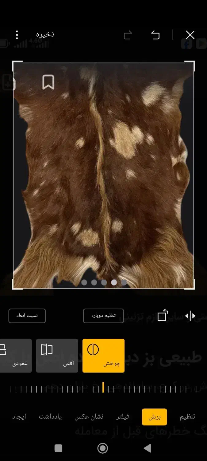 پوست تزینی|صنایع دستی و سایر لوازم تزئینی|تهران, هفده شهریور|دیوار