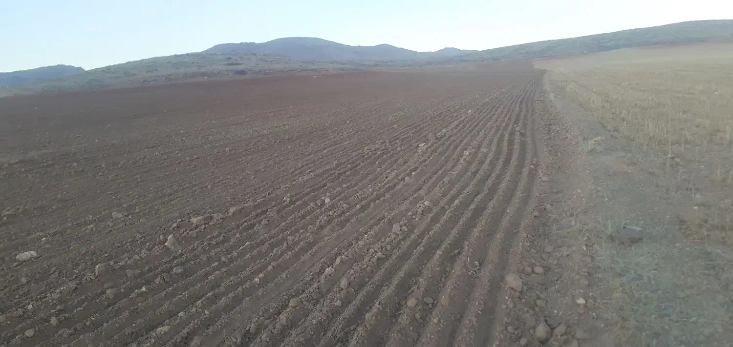 انواع زمین  ویلایی باغی  زراعی|فروش زمین و ملک کلنگی|عنبران, |دیوار