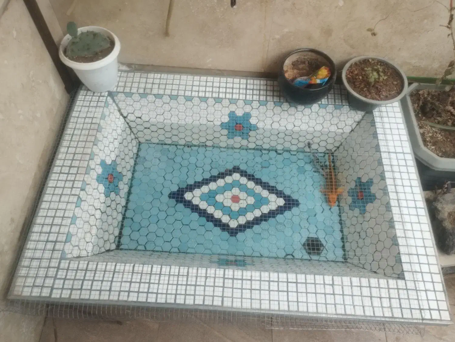 حوض  و ماهی کوی|ماهی|قم, باغ کرباسی|دیوار